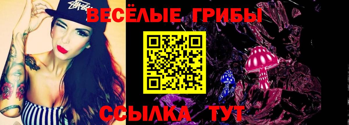Псилоцибиновые грибы GOLDEN TEACHER Урай