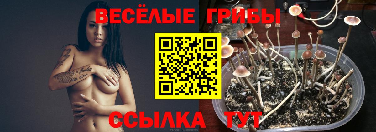 Урай  Галлюциногенные грибы прущие грибы  Вход с VPN 